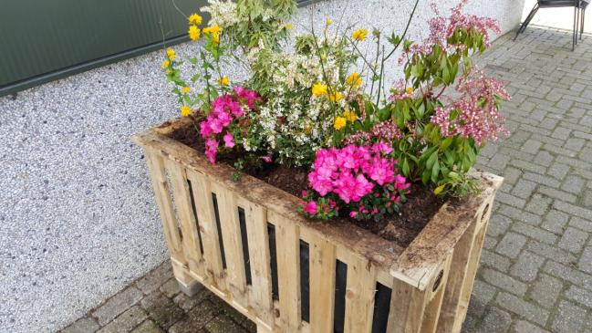 De bakken hebben we zelf ontwerpen en zijn door de cliënten zelf in elkaar gezet. Natuurlijk worden de plantenbakken helemaal afgemaakt met de mooi planten van Kwekerij van Kennis Plants.