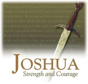 Was het hele volk het eens met het plan van Jozua en welke straf werd bepaald als een persoon niet het bevel van Jozua opvolgde?