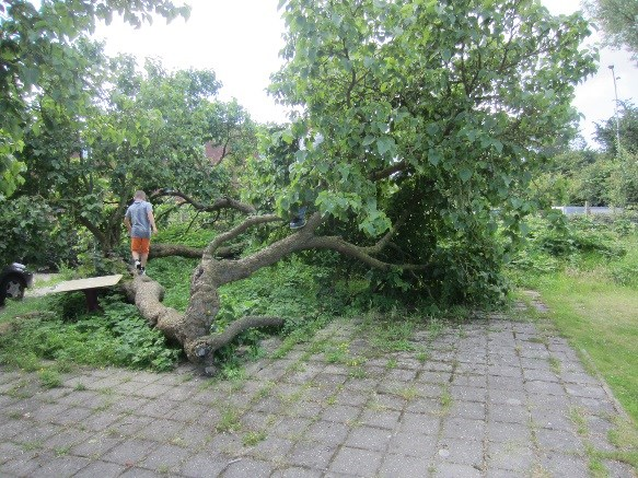 1.12 Renesse De basisschooljeugd van 't Staepel'of uit Renesse kent het totale dorp goed.