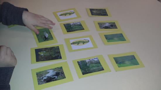 Zo hebben we samen met de peuters een memoryspel gemaakt wat bestond uit de dieren die in het boek voorkwamen.