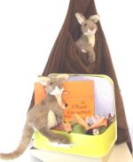 Kleine Kangoeroe In de peutergroep Doel: Plezier ontwikkelen in het kijken en luisteren naar een prentenboek en het stimuleren van de taalontwikkeling bij peuters.