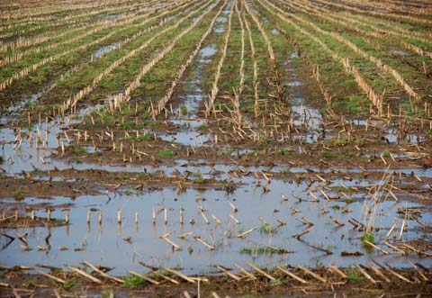 bodemstructuur is eeuwenlang ervaren als de conditie van grond voor zaadkieming en plantengroei met de komst van bodemkundigen (ca.