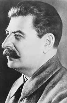 Lenin werd opgevolgd door een nog hardere communist: Stalin. Stalin besloot de Sovjet-industrie versneld te ontwikkelen. Overal verrezen nieuwe fabriekssteden.