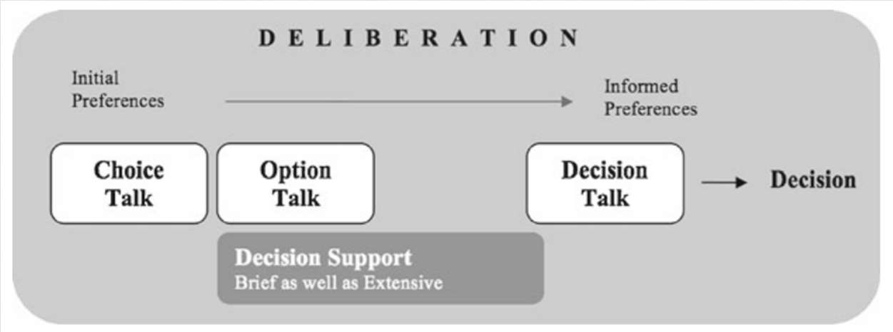 UITLEG MODEL Decision support: ondersteuning door zorgverlener Elwyn beschrijft