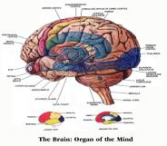 1 Dr. Erik Kegels Centrum Huisartsgeneeskunde Antwerpen HET NEUROLOGISCH ONDERZOEK IN DE HUISARTSPRAKTIJK Neurologisch onderzoek 2 Doelstellingen