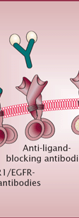 Rol van bevacizumab Metanalyse PFS winst HR 0.