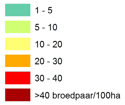 Daardoor zijn er aan de oostkant en zuidkant (Mokbaai) van Texel de hoogste dichtheden van scholeksters aan te treffen.