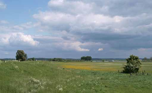 5. PIJLER 2 - SYSTEEMGERICHT EN OP HOOFDLIJNEN Dat is alleen mogelijk door een integrale aanpak met andere beleidsvelden in de fysieke leefomgeving.