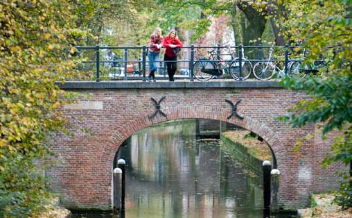 We stimuleren en faciliteren de mogelijkheden om de functionele biodiversiteit in het landelijk gebied te verbeteren en vervullen een voorbeeldfunctie door het ecologische beheer van bijvoorbeeld