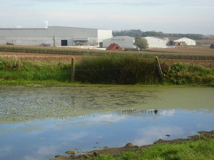 het frea2sch grondwaterpeil Bodemkartering in