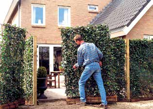 De hagen staan in een biologisch afbreekbare bak en kunnen behalve in een vorstperiode het gehele jaar worden geplaatst.