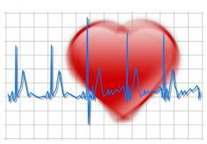 Hoe snel klopt jouw hart? kloppen van het hart hoe snel klopt je hart kn.nu/ww.fe5afd8 (teleblik.