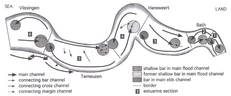 Figuur 2.1 Morfologische schematisatie van het geulsysteem in de Westerschelde (Jeuken, 2000).