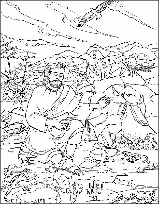 Nu kwam de beproever naar hem toe en zei: Als u de Zoon van God bent, beveel dan die stenen in broden te veranderen.
