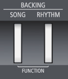 Bepaalde ritmeparts selecteren Ga als volgt te werk om alleen een drum ritmepart te selecteren. 1. Druk tegelijkertijd op de [SONG] en [RHYTHM] knoppen. 2.