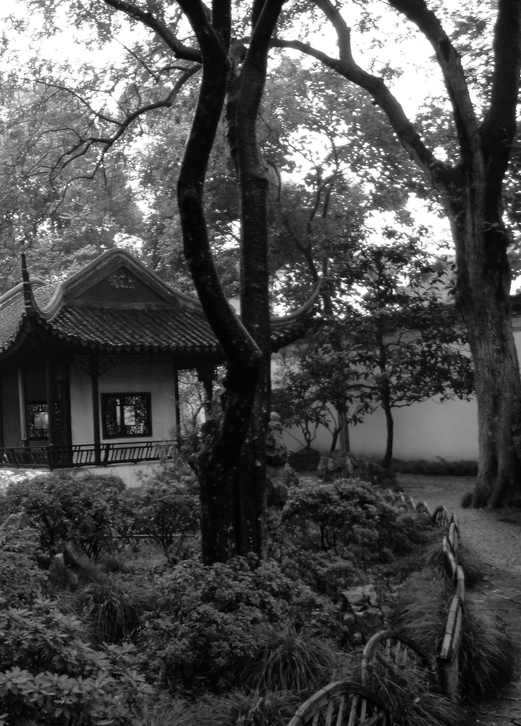 Tekst en fotografie: Harmke Kraak De klassieke tuinen van Suzhou stammen grotendeels uit de Ming-dynastie.