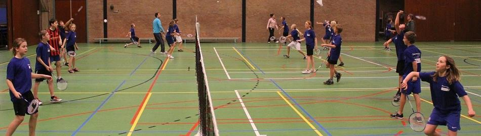 laten zien om de basis vaardigheden van het badminton aan te leren.