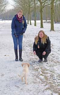 OP PAD MET DE PPZ- INSTRUCTEUR Tamara van der Wagen is PPZ-instructeur bij KNGF Geleidehonden. Ze begeleidt puppypleeggezinnen die voor ruim een jaar een aankomend geleidehond in huis nemen.