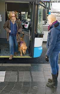 We lopen door de stad en kijken hoe hij een bus, trein en lift in- en uitstapt. Belangrijk is dat de hond vertrouwd raakt met het openbaar vervoer. Ursoe oefent voor het eerst op de trap.