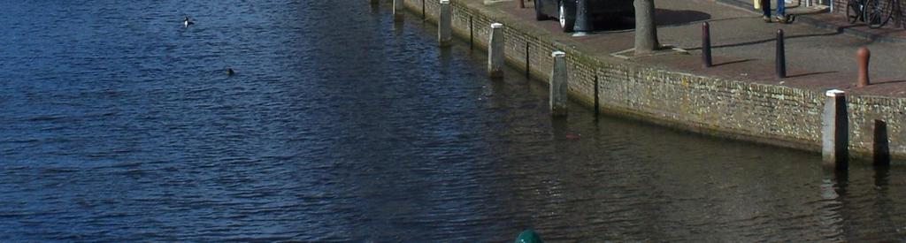 Wel vormen de kruisingen met de A12 en vooral de A2 een