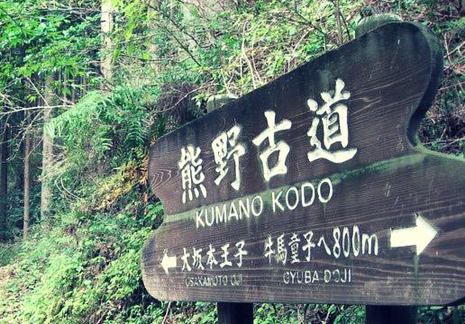 Hoogtepunten zijn de drie schrijnen van Kumano en de hoogste waterval van Japan.