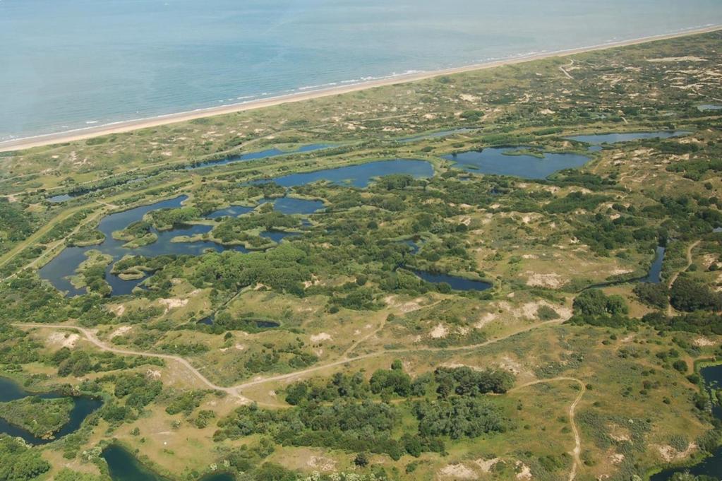 9 KRW-waterlichaam NL15-08: Meijendel Algemene beschrijving Het waterlichaam betreft kunstmatige ondiepe kalkrijke plassen in de van duinen. Daarnaast kennen de plassen ook een natuurfunctie.