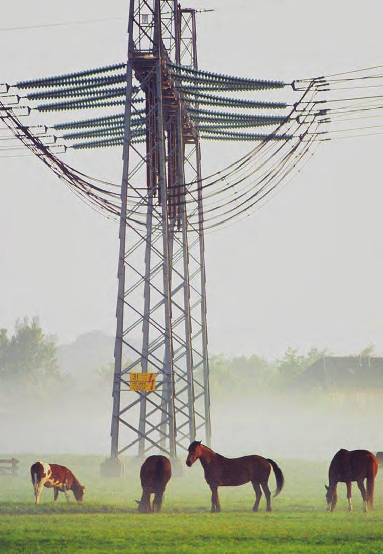 Samenlevingsopbouw streeft het recht op energie na Energiearmoede is een toenemend probleem. Steeds meer gezinnen kunnen de energiefacturen nog nauwelijks betalen.