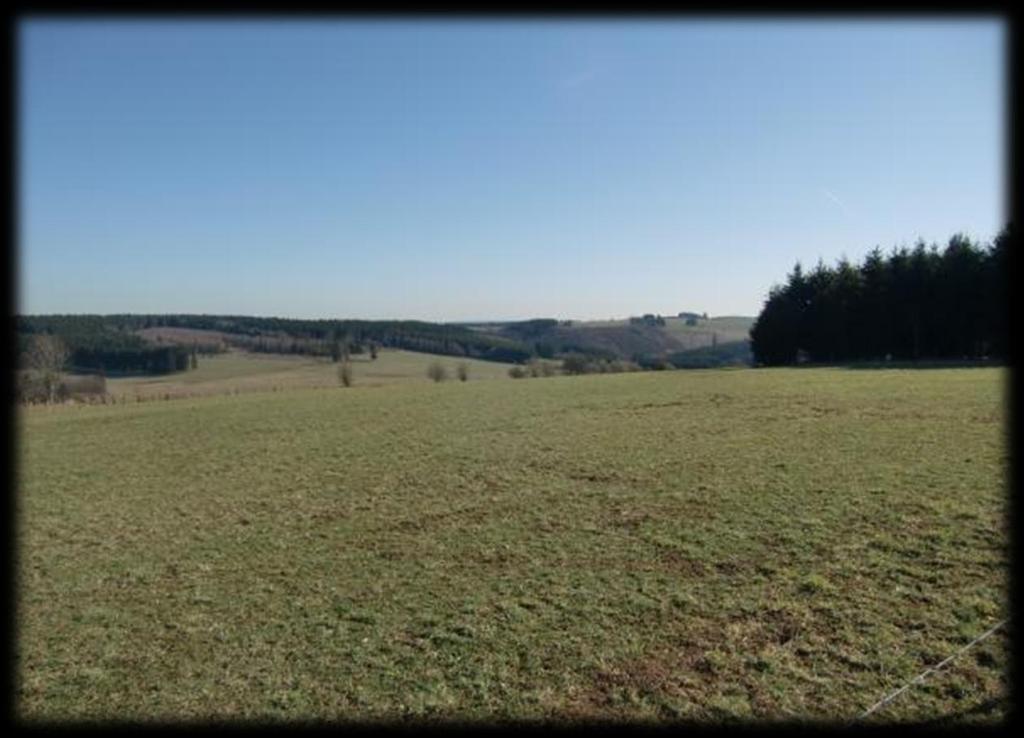 Het is prachtig lenteweer en de zon schijnt volop.