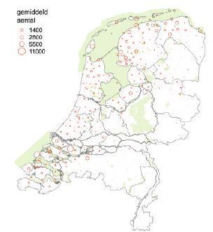 in de jaren tachtig in de Waddenzee in aantal toegenomen en is sindsdien min of meer stabiel, hoewel met grote fluctuaties.