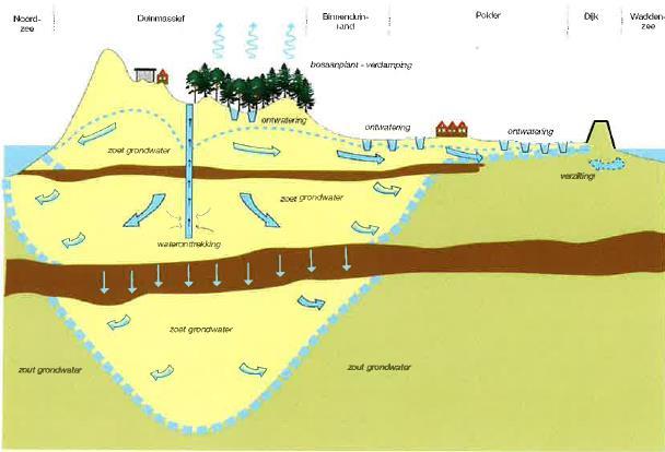 3.2.6 Globaal overzicht van de hydrologie op Ameland Algemeen Onder de duinen, in het Duinboogcomplex, is in de loop der tijd een zoetwaterbel ontstaan (Figuur 3.15).