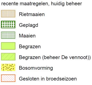 34) De Jan Roepeheide wordt tezamen met een deel van het Grootslegt en een deel van de Lange Duinen Zuid begraasd met Soayschapen.