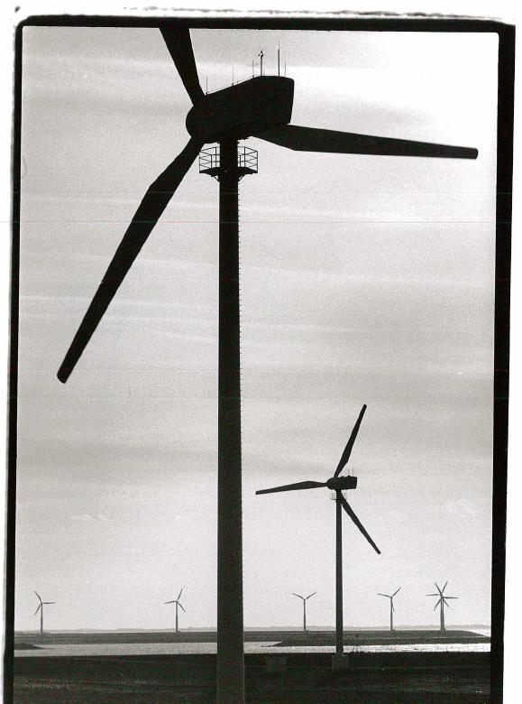 1. Triodos in het kort Triodos heeft meer dan 20 jaar ervaring in windfinancieringen Triodos heeft lange ervaring met wind op land 1971: Oprichting Triodos Stichting 1980: Oprichting Triodos Bank N.V.