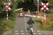 Naar het verkeerspark Donderdag 22 januari gaan de kinderen van de lagere school hun verkeersvaardigheden oefenen in het verkeerspark van Herentals. Ze krijgen eerst een theoretische uitleg.