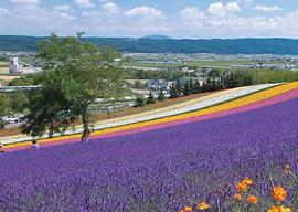 Osaka Hokkaido.