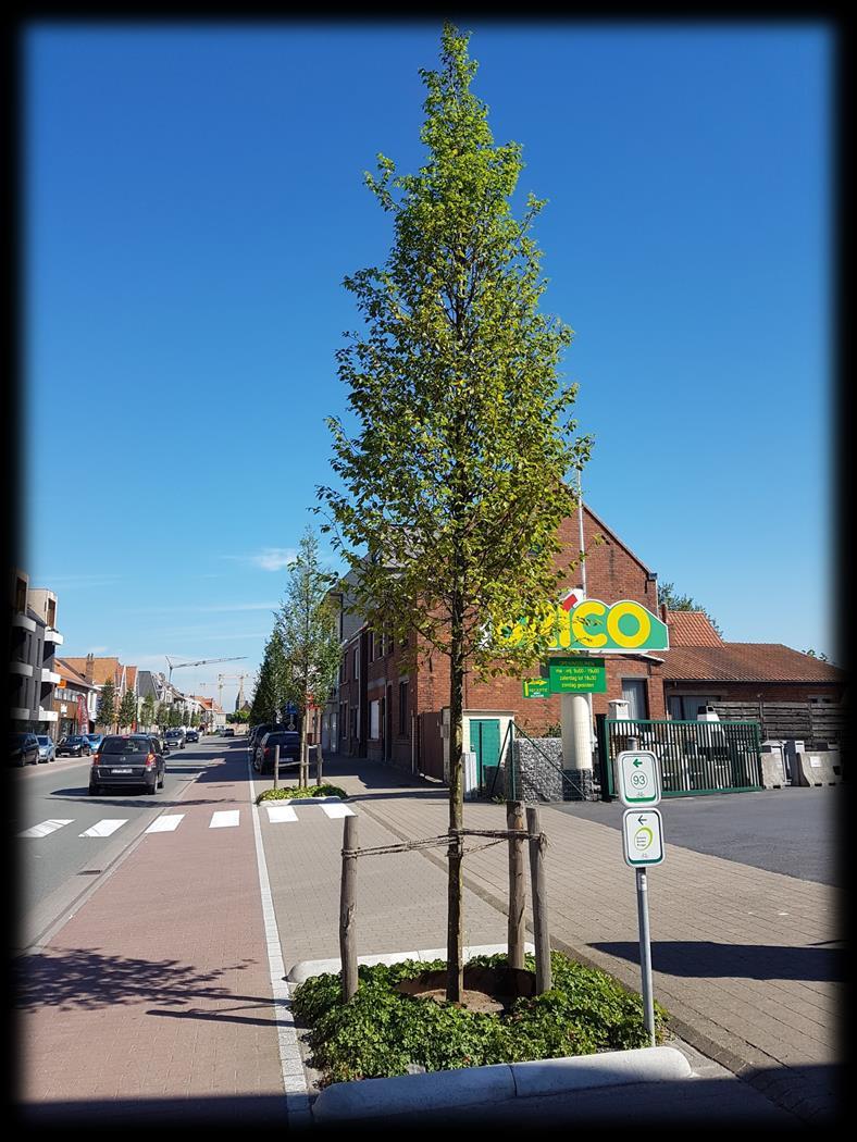 Project "Kortrijksestraat - Centrum - Oostkamp" Is het project succesvol? Hoe kan je dit meten?