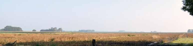 Opstrekkende verkaveling Bebouwing in linten Tot moeras verveende gebieden (Rottige Meenthe) Erven De erven in de veenpolders liggen deels direct aan de weg en deels meer achteruit in het land.