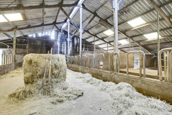 In de ligboxenstal is de inrichting voor het houden van koeien nog aanwezig maar zijn ook een drietal paardenboxen, een zadelkamer en kantine gecreëerd.
