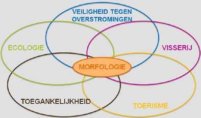 Observaties Uit tal van observaties lichten we één specifieke situatie.