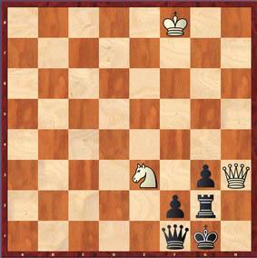 Bovenstaand een mat in 2 waarbij zwart door zetdwang mat gaat. Dat lukt echter slechts door één goede beginzet van wit.