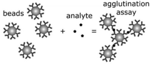 APPRAISAL 1. Methodologie om cystatine C in plasma of serum te bepalen: Technische overwegingen De beschikbare cystatine C assays zijn allen immunoassays.