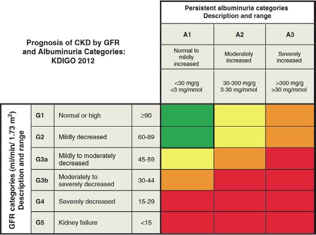 Figuur 1. CKD categorisering volgens KDIGO en risico op complicaties. Groen: laag risico (wanneer geen andere markers van nierziekte aanwezig zijn, geen CKD). Geel: matig verhoogd risico.