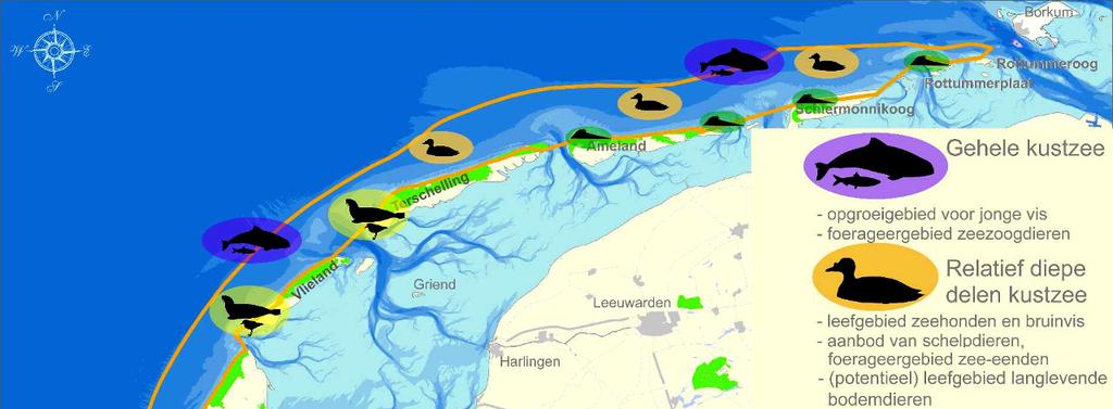 1670 1672 1674 1676 1678 1680 1682 In de Noordzeekustzone bevinden zich twaalf kansrijke zones waar de doelstellingen gerealiseerd kunnen worden (zie figuur 5.1).