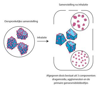 Figuur 2. Samenstelling van de afgegeven dosis van een droogpoeder formulering. uiteindelijke depositie (afzetting) in de luchtwegen: inertiële impactie, sedimentatie en diffusie (zie Figuur 1).