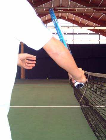 7. BACKHAND VOLLEY BHV GREEP: CONTINENTAL Pinkmuis op