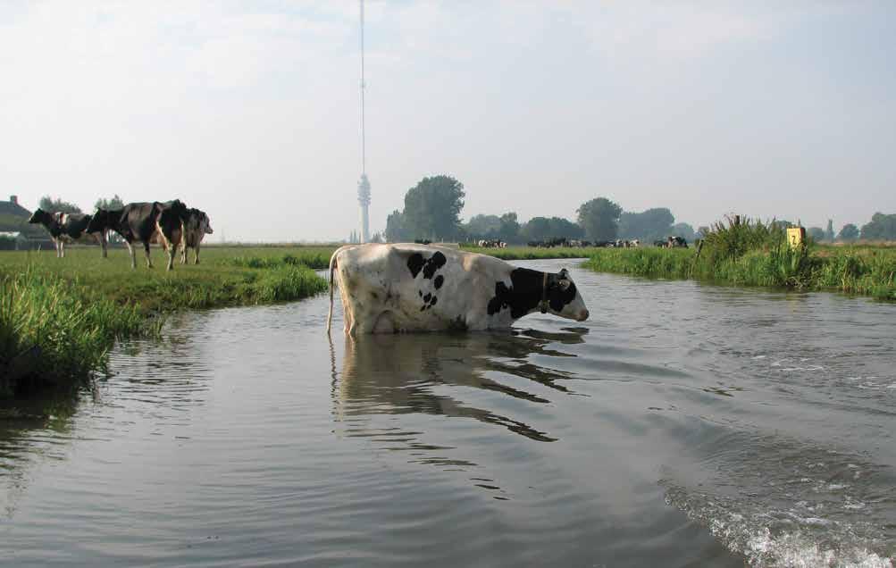 door twee rivieren, de Lek en de Hollandse IJssel, ligt de