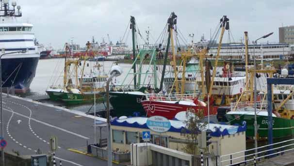 Rapport 2015 - Fishing for Litter IJmuiden Den Helder Bijlage I Contactpersonen Projectbegeleiding KIMO Nederland en België De heer B.