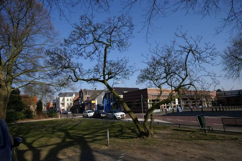 Is op dit moment geen probleem E is wijker een minder gewenste boom/ boom met beperkte toekomst Diameter op borsthoogte is 25 cm De boom is vier-stammig Consequenties voor duurzame instandhouding van