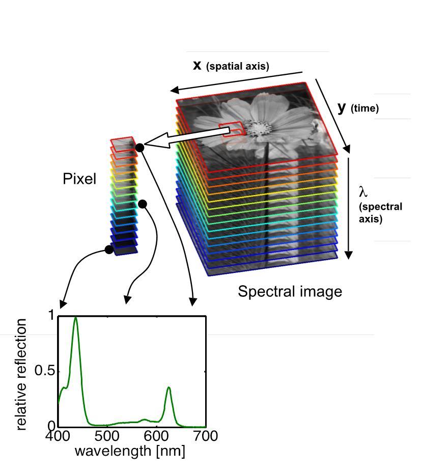 Ervaringen Hyperspectraal Reflectie van het blad 200 banden van 3 nm 4000 pixels beoordeeld: Hele