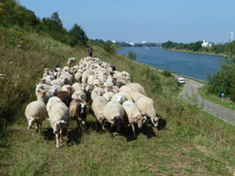 aandacht voor beheer