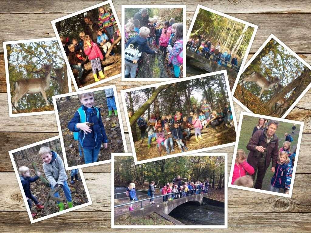 Groep 3: herfstwandeling Vorige week donderdag ging groep 3 naar de Amsterdamse Waterleidingduinen in Vogelenzang op excursie met de boswachter. Wat boften we met het weer, een heerlijk zonnetje!